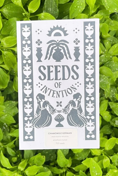 SALT AND RAINBOWS | SEEDS OF INTENTION GERMAN CHAMOMILE | Bohemian Love Runway