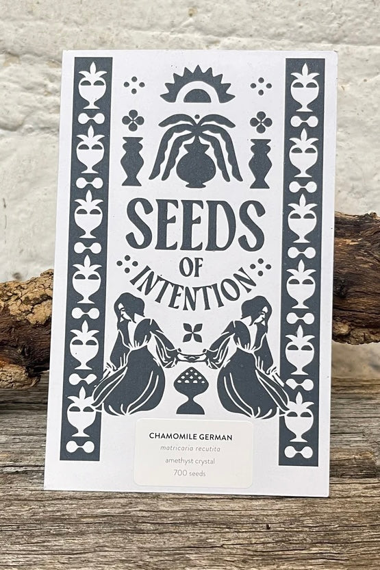 SALT AND RAINBOWS | SEEDS OF INTENTION GERMAN CHAMOMILE | Bohemian Love Runway