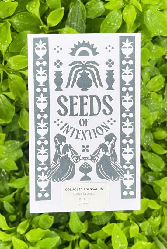 SALT AND RAINBOWS | SEEDS OF INTENTIONS COSMOS | Bohemian Love Runway
