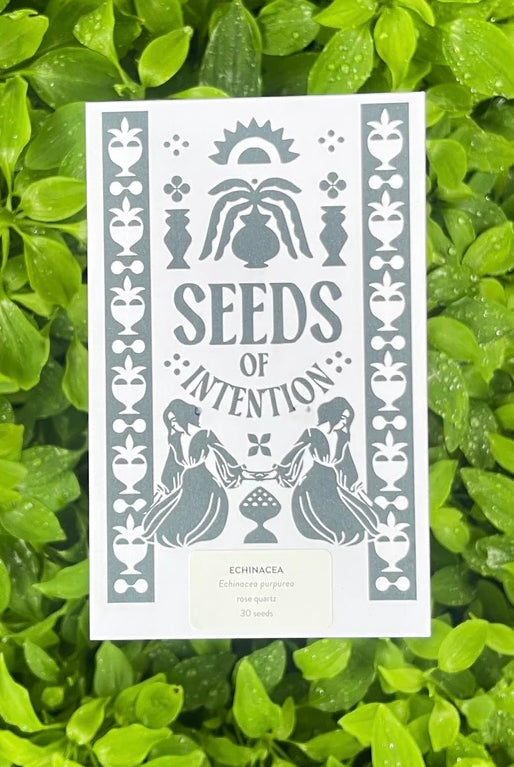 SALT AND RAINBOWS | SEEDS OF INTENTION ECHINACEA | Bohemian Love Runway
