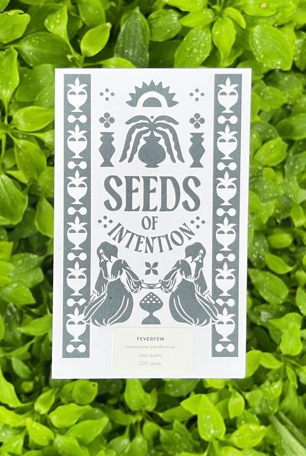 SALT AND RAINBOWS | SEEDS OF INTENTION FEVERFEW | Bohemian Love Runway
