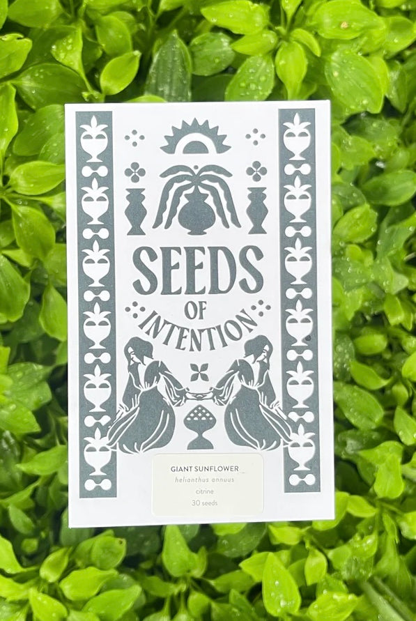 SALT AND RAINBOWS | SEEDS OF INTENTION GIANT SUNFLOWER | Bohemian Love Runway