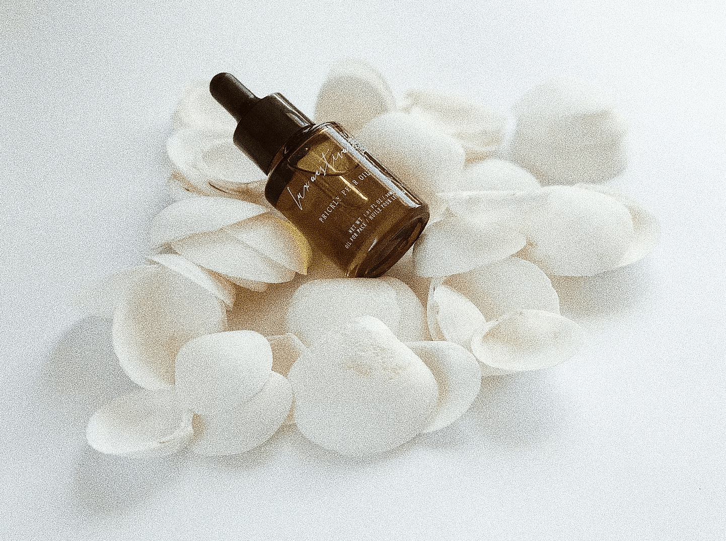 LUXAESTIVA | PRICKLY PEAR OIL | Bohemian Love Runway