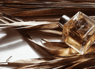 LUXAESTIVA | APHRODITE OIL FOR HAIR | Bohemian Love Runway