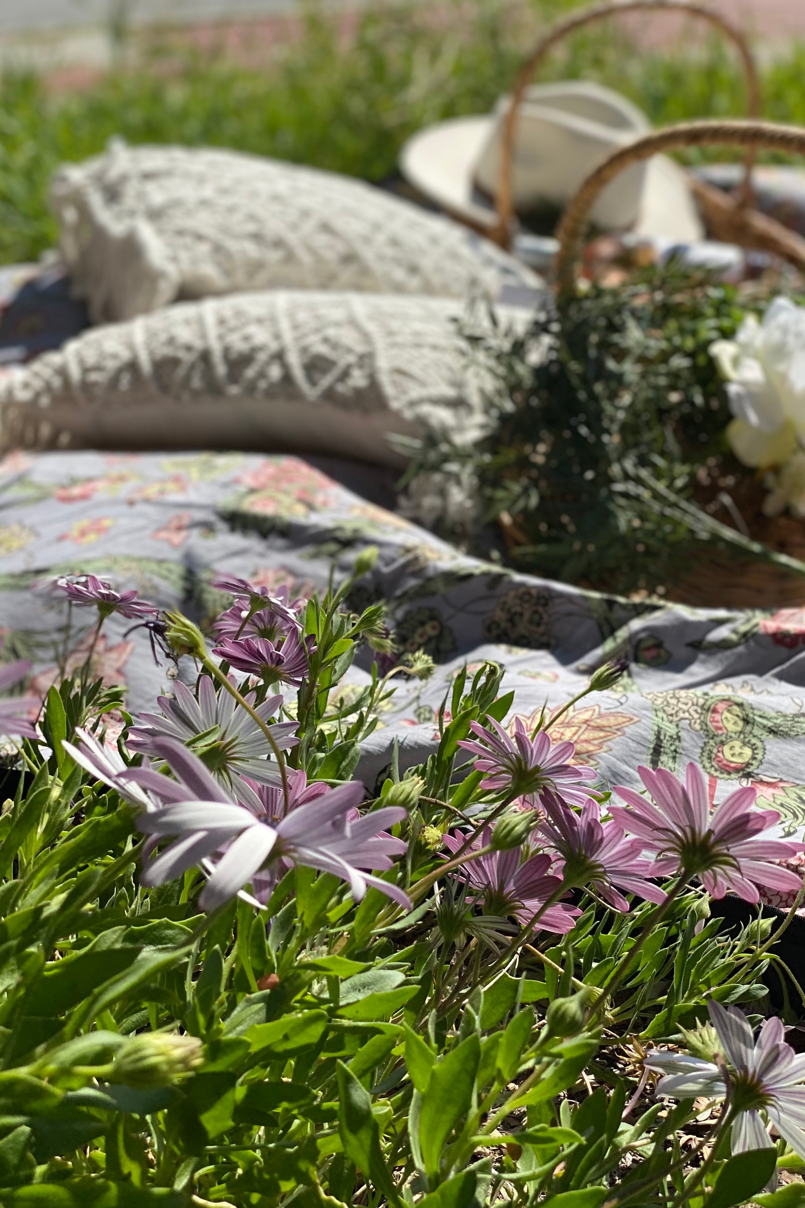 HOUSE OF SKYE | DAISY PICNIC BLANKET SILVER CLOUD | Bohemian Love Runway