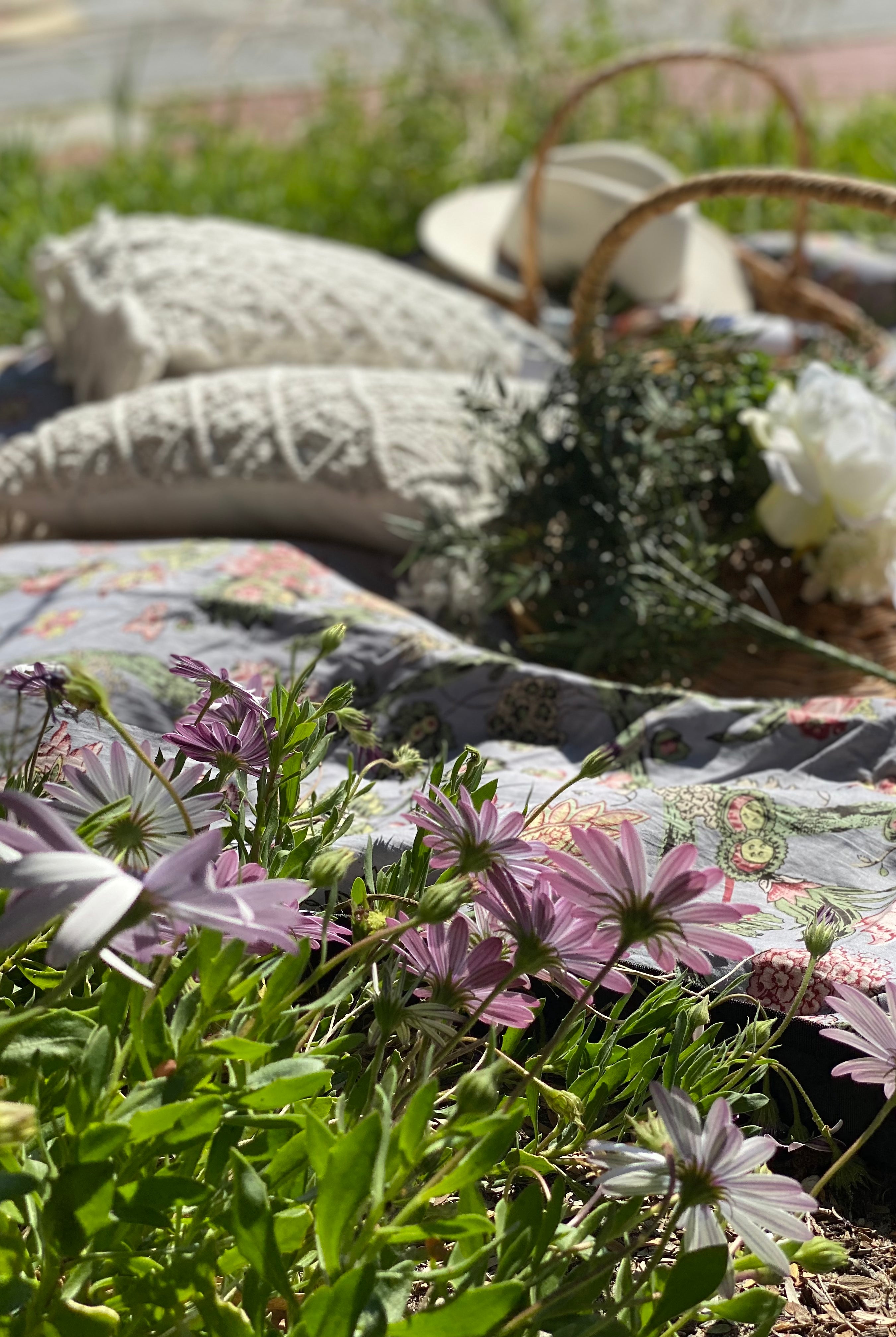 HOUSE OF SKYE | DAISY PICNIC BLANKET SILVER CLOUD | Bohemian Love Runway