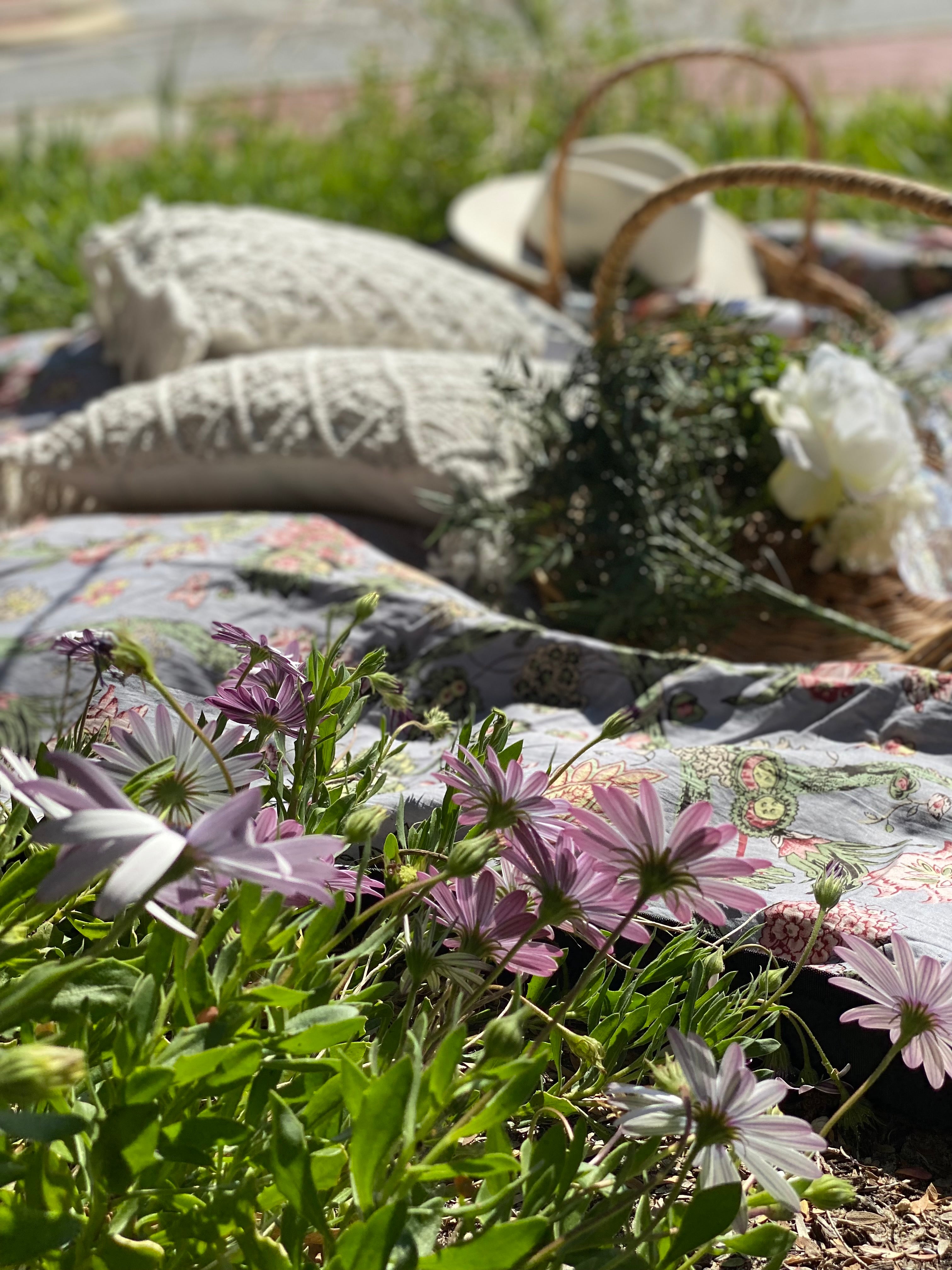 HOUSE OF SKYE | DAISY PICNIC BLANKET SILVER CLOUD | Bohemian Love Runway