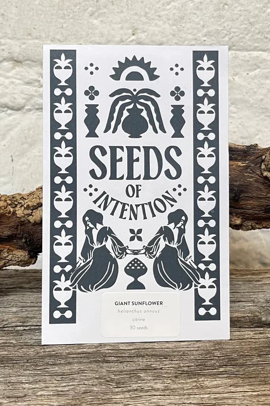 Seeds of intention sunflower packets styled on rustic wood - Bohemian home decor and lifestyle collection Australia.