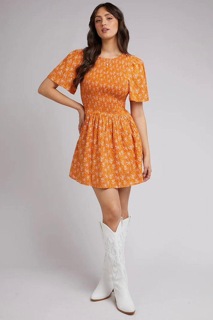  ALL ABOUT EVE | CLEMENTINE FLORAL MINI DRESS PRINT | Bohemian Love Runway