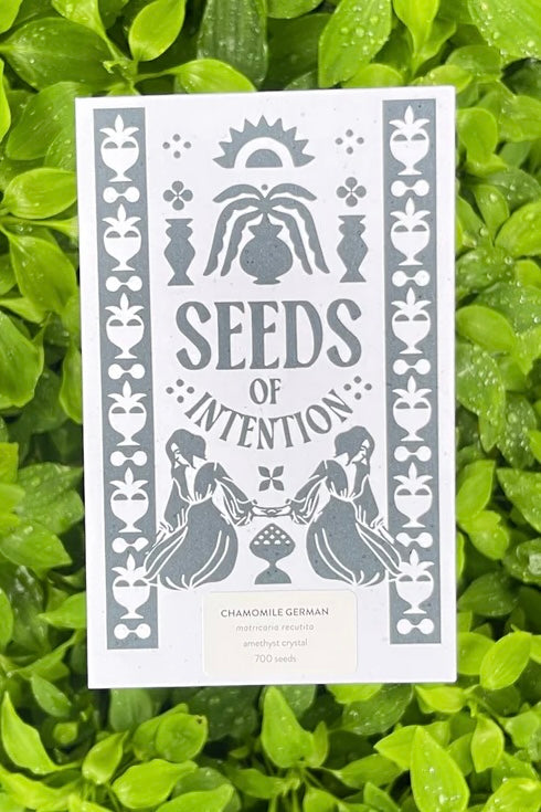  SALT AND RAINBOWS | SEEDS OF INTENTION GERMAN CHAMOMILE | Bohemian Love Runway