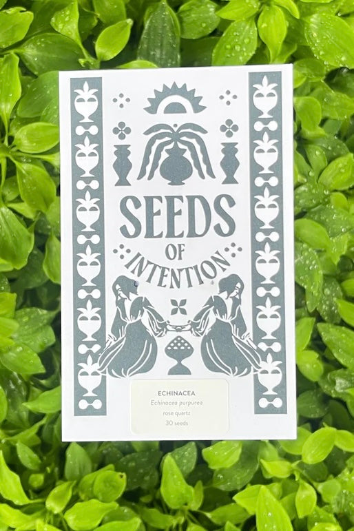  SALT AND RAINBOWS | SEEDS OF INTENTION ECHINACEA | Bohemian Love Runway